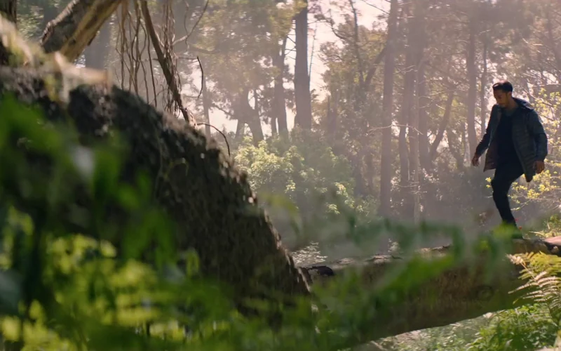 A runner crosses a sunlit forest in Adidas Terrex’s Let the Outside In