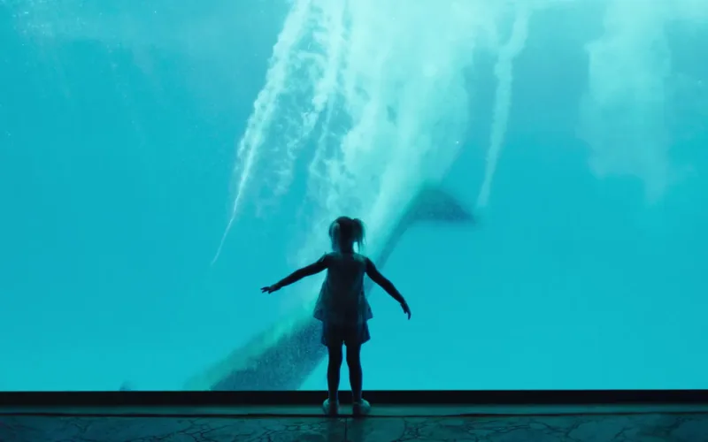 SeaWorld: Dive In