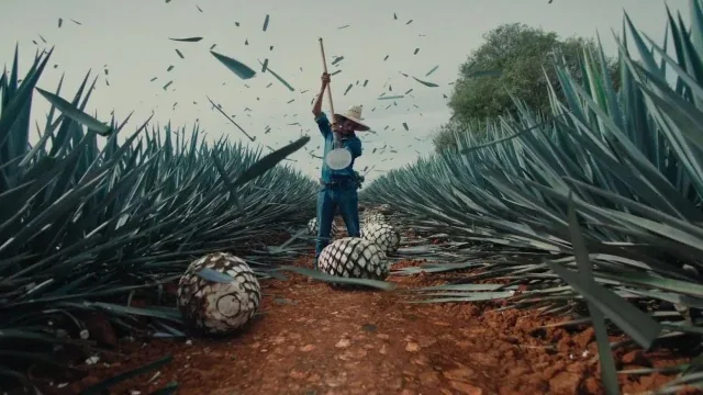 Mayenda: Summon the Lost Flavors of Agave.