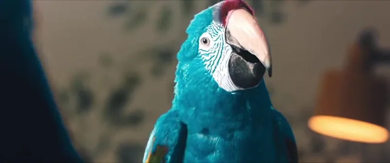 A blue parrot fills the frame.