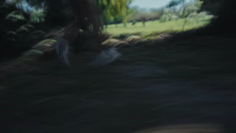 Lost in a Flash, Ad Council. Directed by Ariel Danziger.