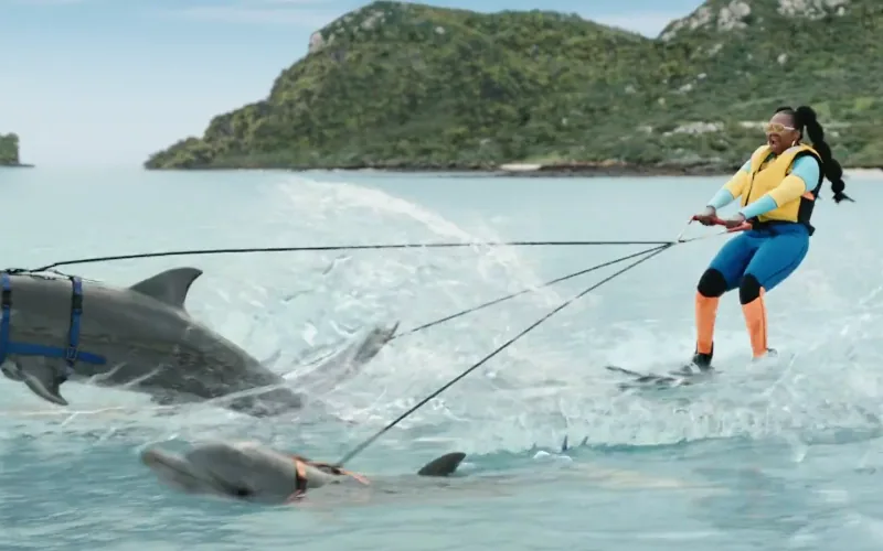A woman water-skis behind two dolphins in a bright turquoise bay.