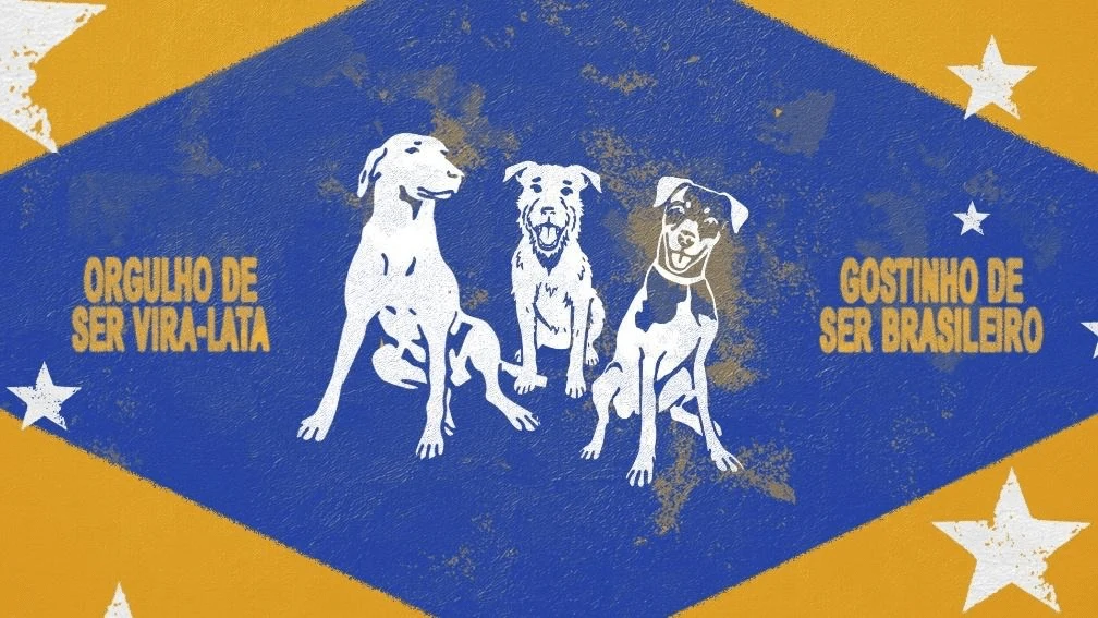 Three illustrated dogs on blue and yellow Brazilian flag-inspired artwork for Pedigree Vira-Lata